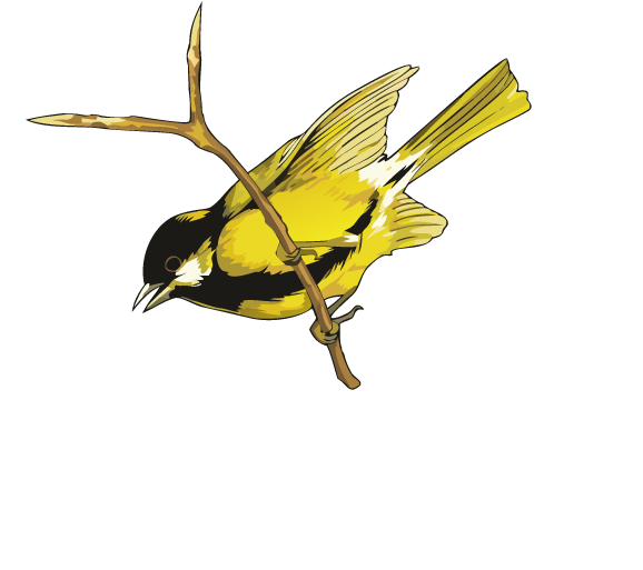 Capinera - Vendita online Vini e Spumanti di alta qualità